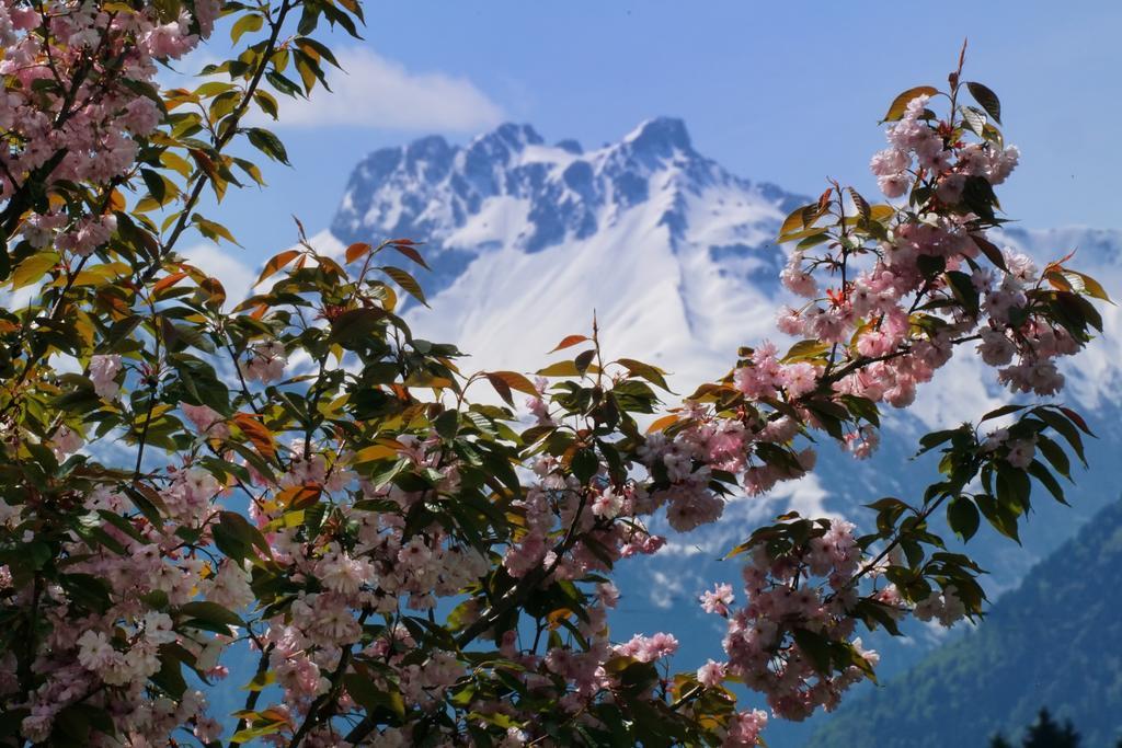 Panorama Hotel Kaserer Fischen im Allgaeu ภายนอก รูปภาพ